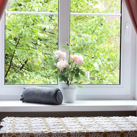 ホームステイ Close To Everywhere